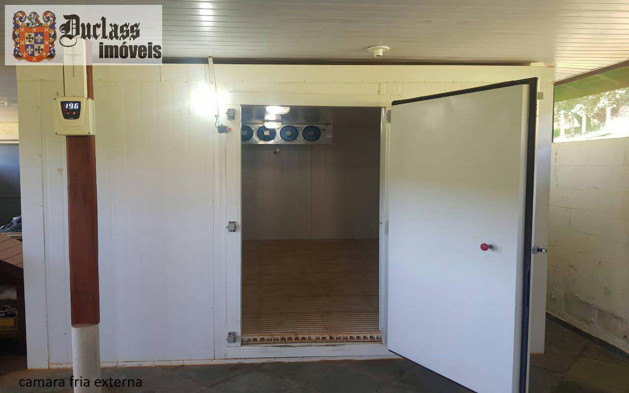 Sítio, 7 quartos, 2 hectares - Foto 22