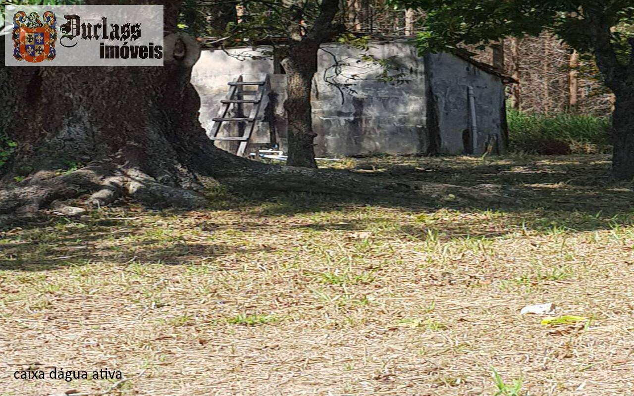 Sítio, 7 quartos, 2 hectares - Foto 23