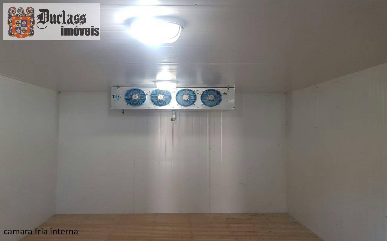 Sítio, 7 quartos, 2 hectares - Foto 26