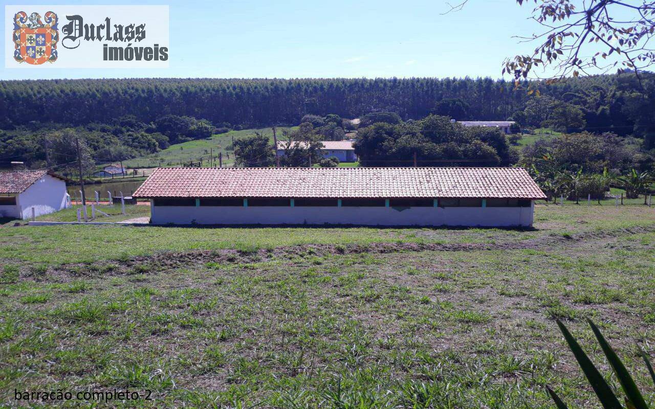 Sítio, 7 quartos, 2 hectares - Foto 56