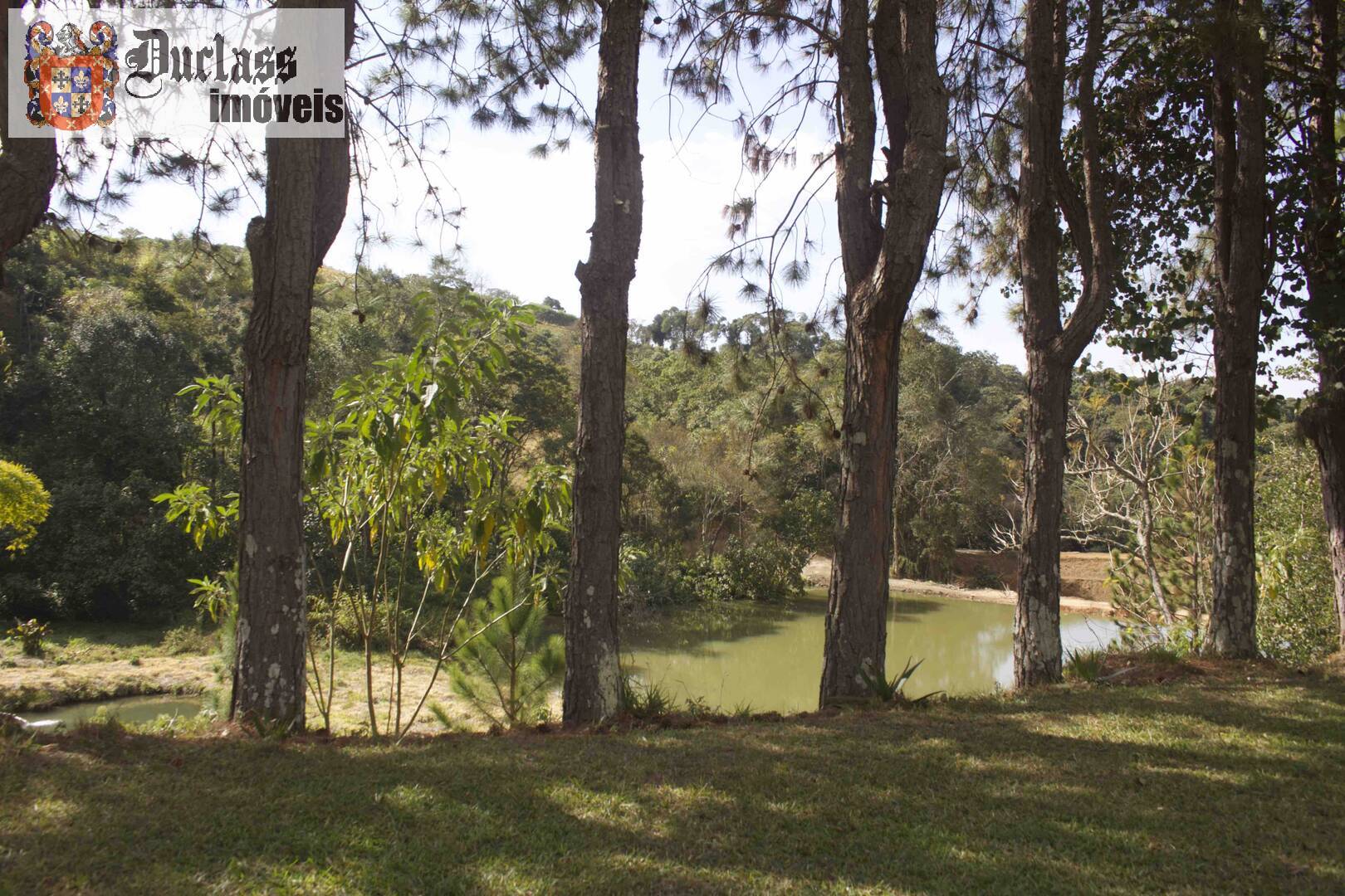 Fazenda à venda com 19 quartos, 1859m² - Foto 3