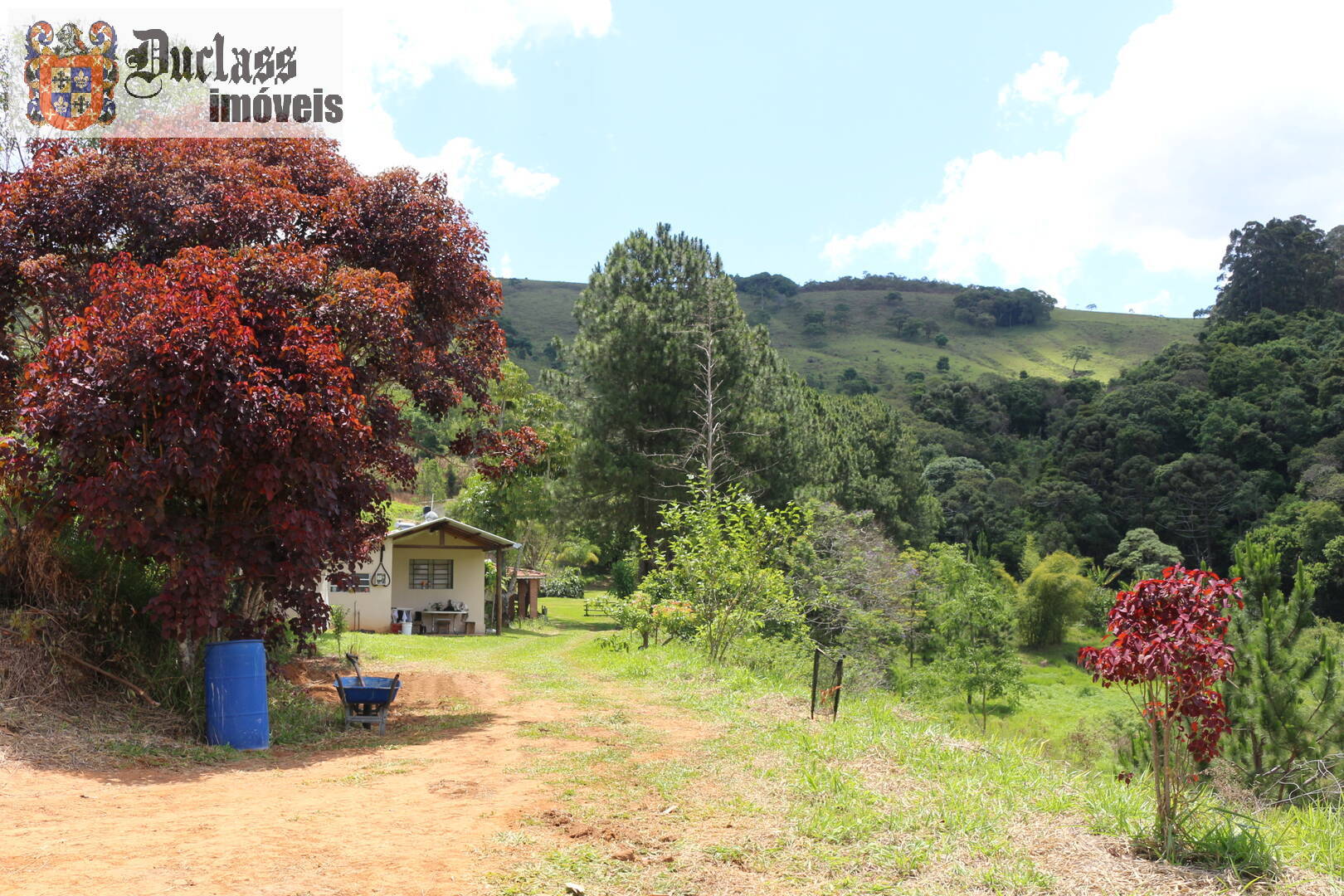 Fazenda à venda com 19 quartos, 1859m² - Foto 199