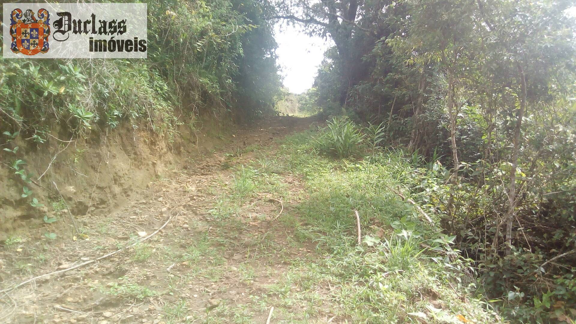 Fazenda à venda com 19 quartos, 1859m² - Foto 200