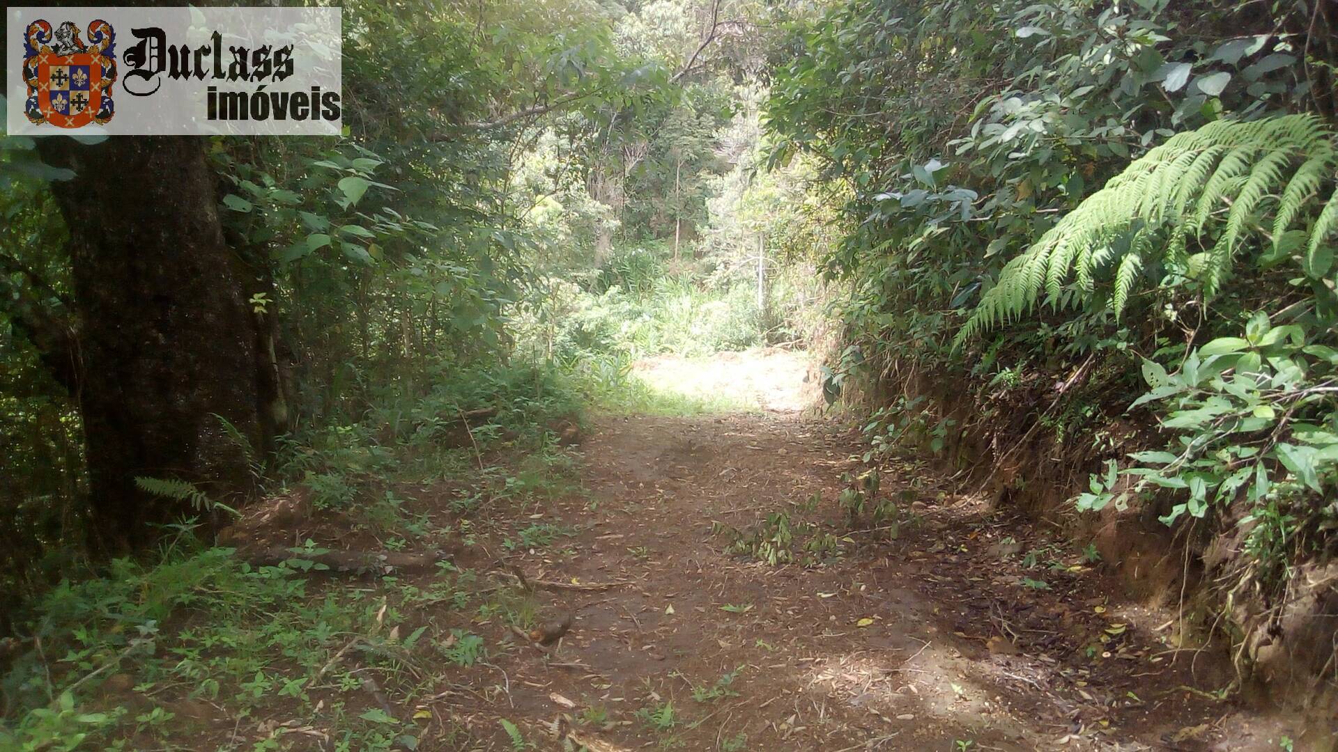 Fazenda à venda com 19 quartos, 1859m² - Foto 201