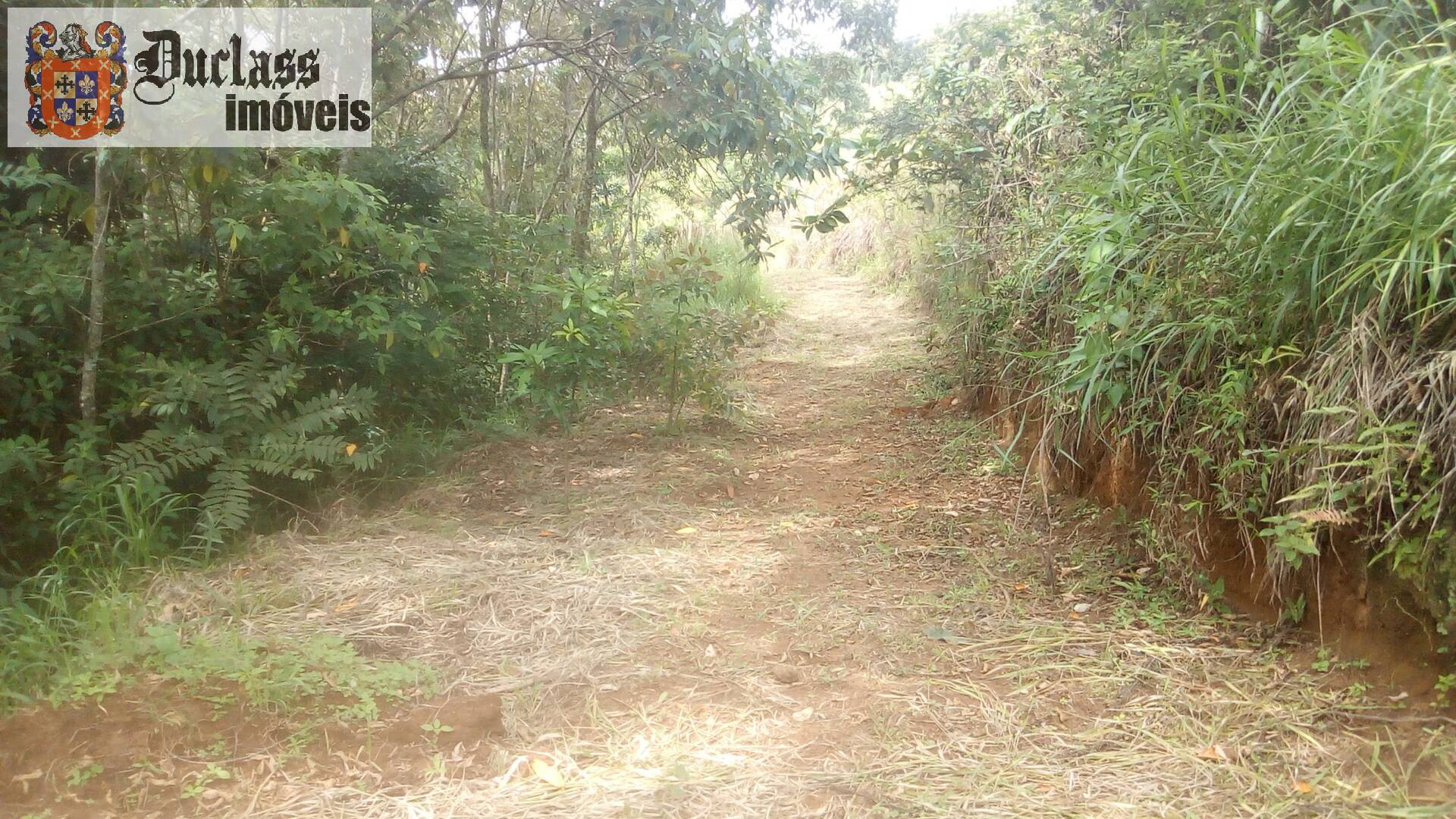 Fazenda à venda com 19 quartos, 1859m² - Foto 203