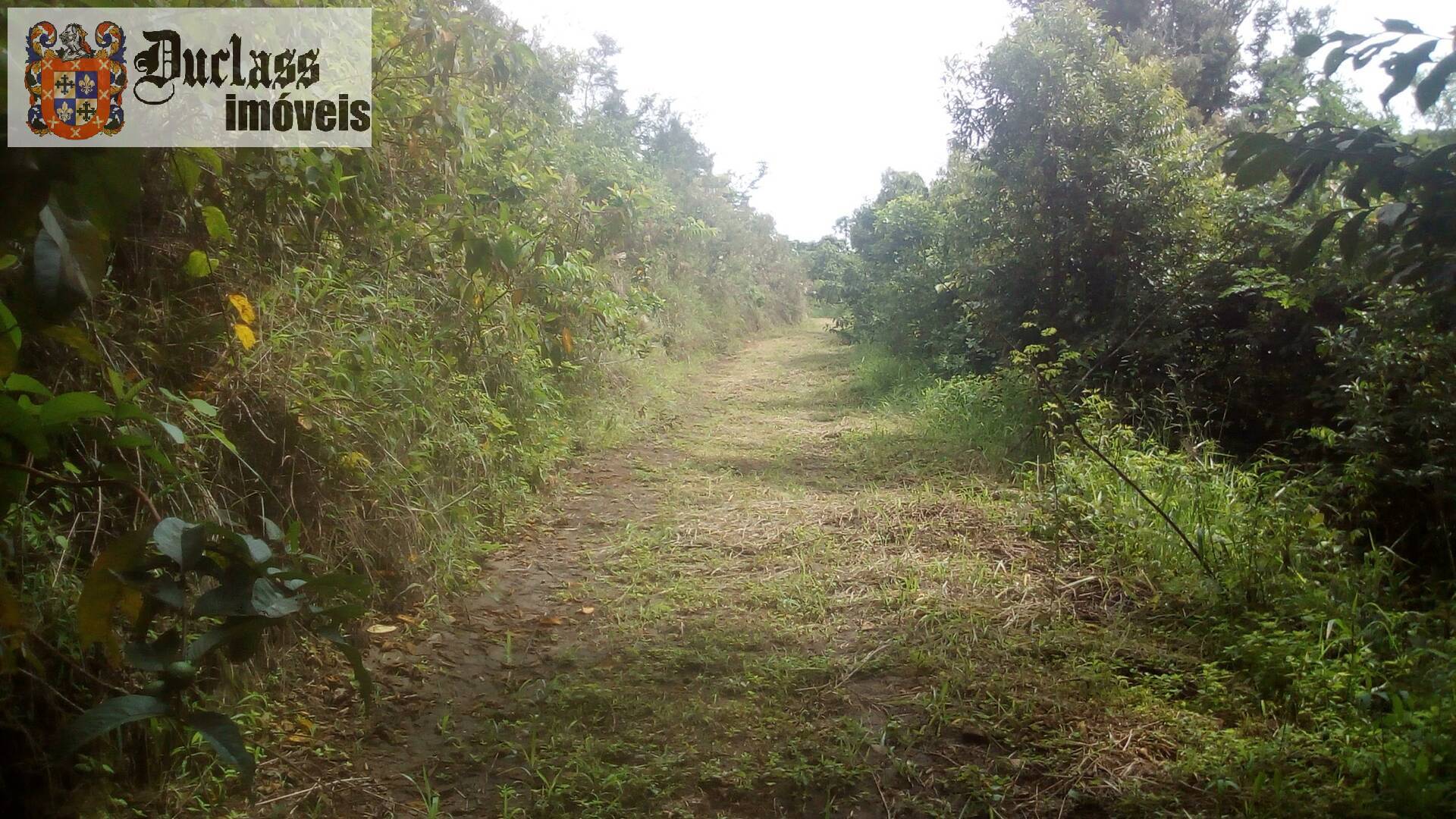 Fazenda à venda com 19 quartos, 1859m² - Foto 204