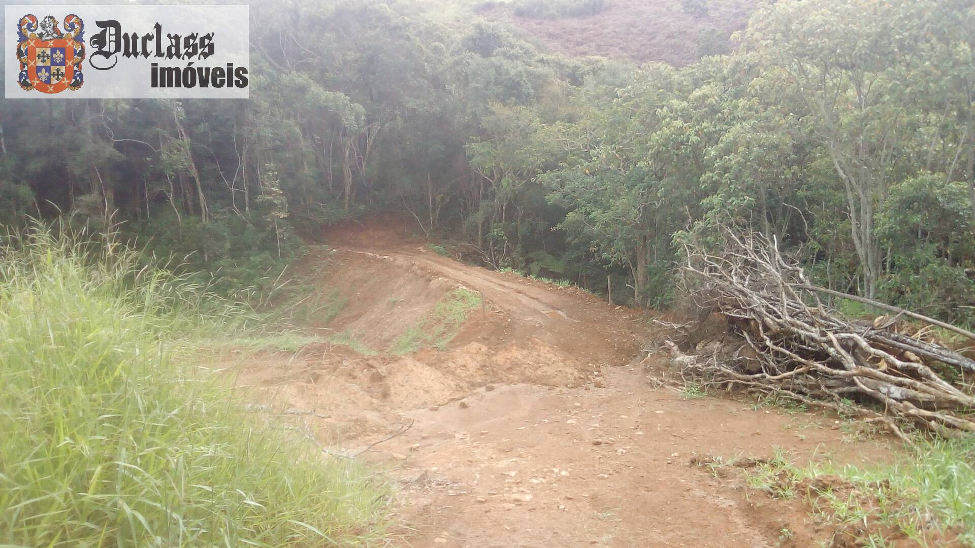 Fazenda à venda com 19 quartos, 1859m² - Foto 206