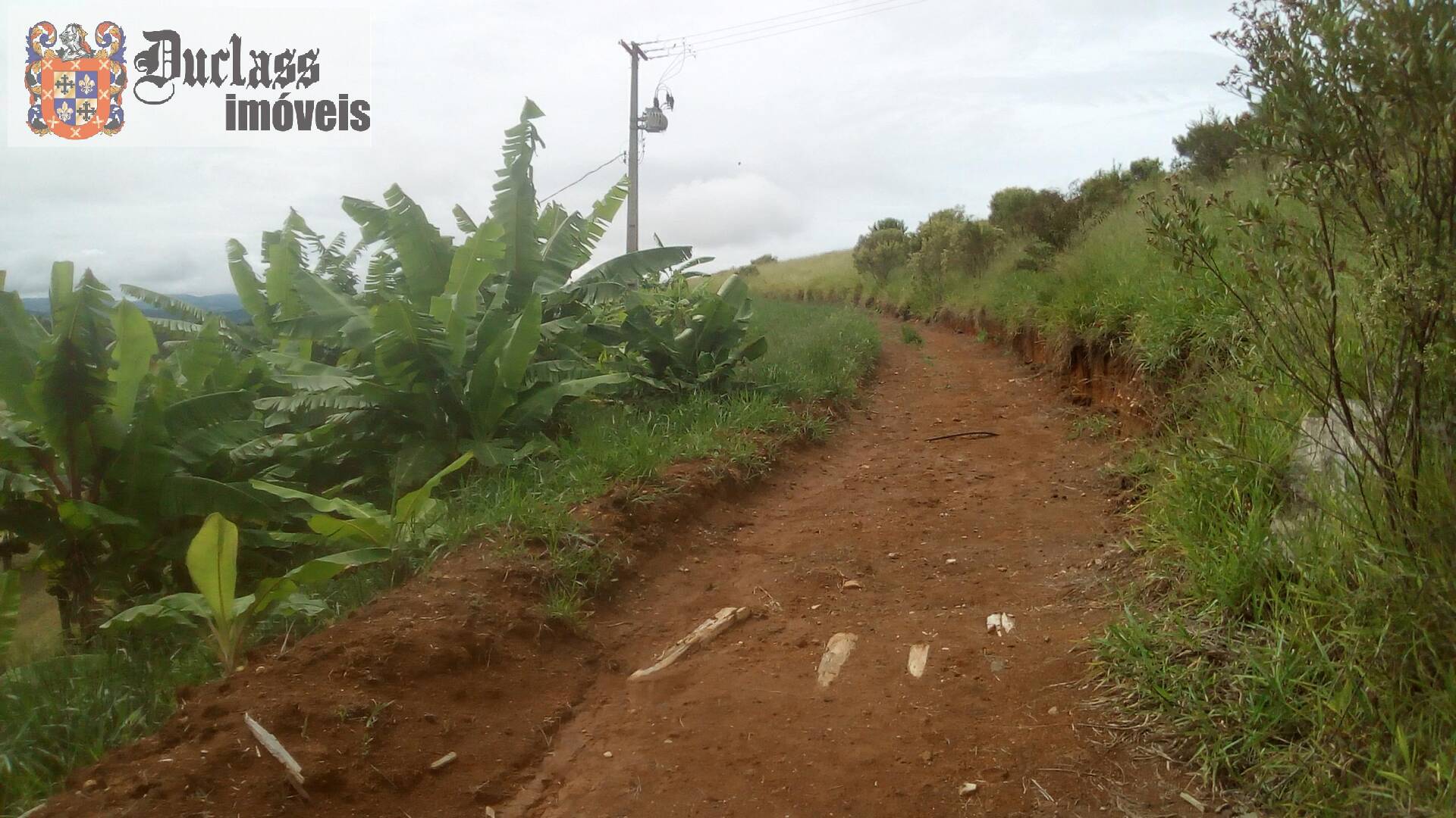 Fazenda à venda com 19 quartos, 1859m² - Foto 207