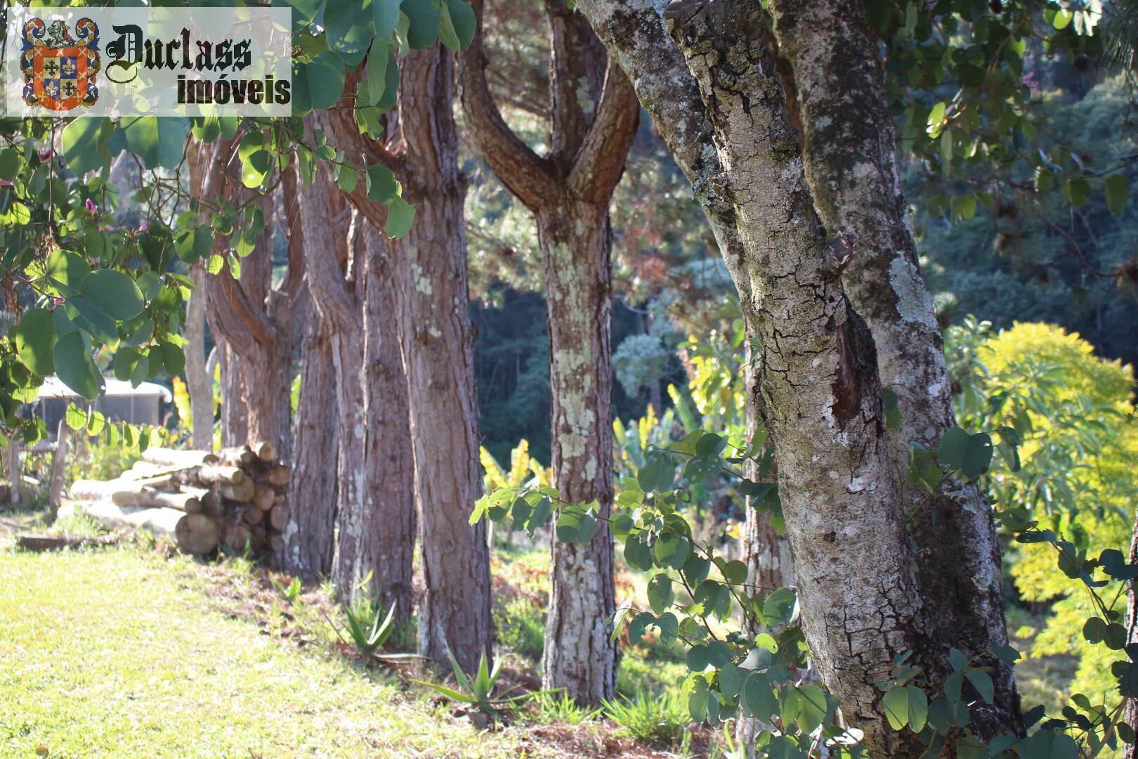 Fazenda à venda com 19 quartos, 1859m² - Foto 213