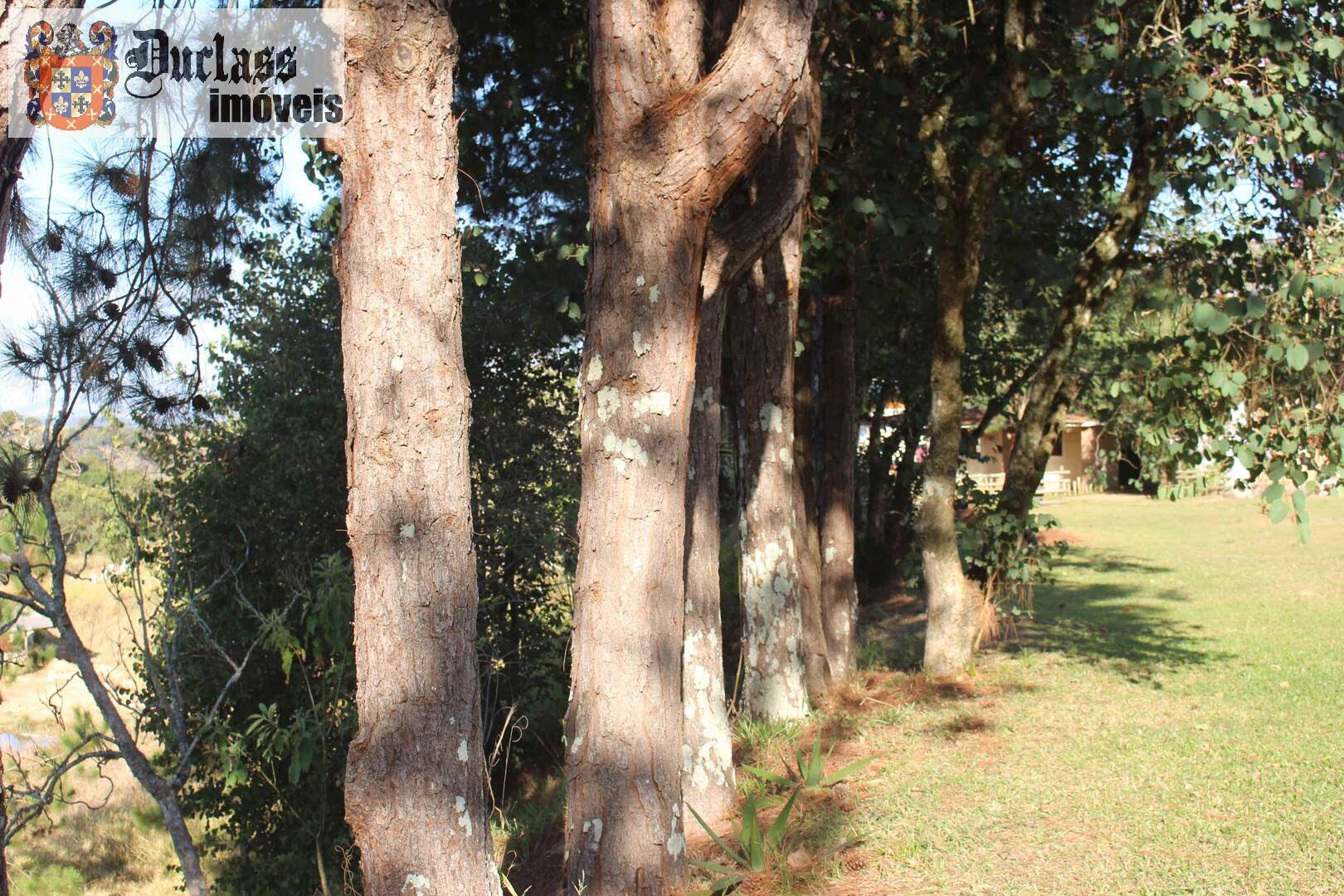 Fazenda à venda com 19 quartos, 1859m² - Foto 214