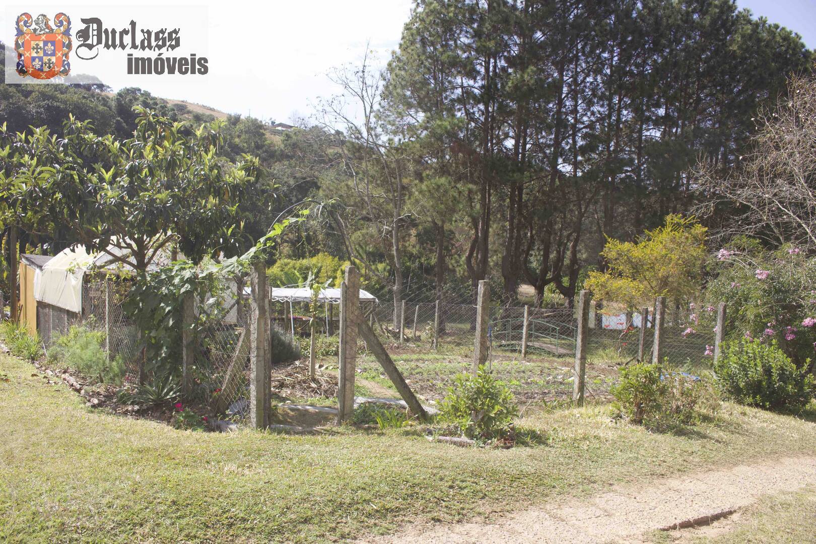 Fazenda à venda com 19 quartos, 1859m² - Foto 217