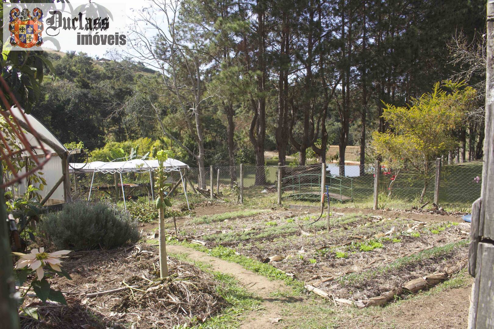Fazenda à venda com 19 quartos, 1859m² - Foto 218