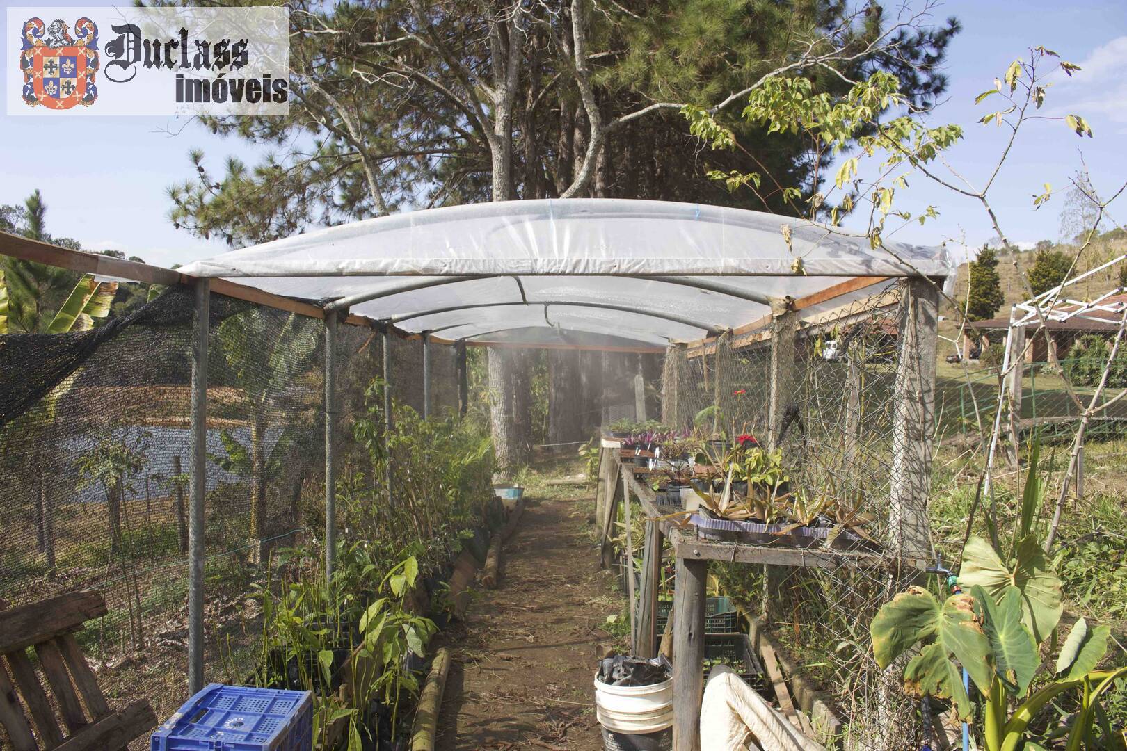 Fazenda à venda com 19 quartos, 1859m² - Foto 222