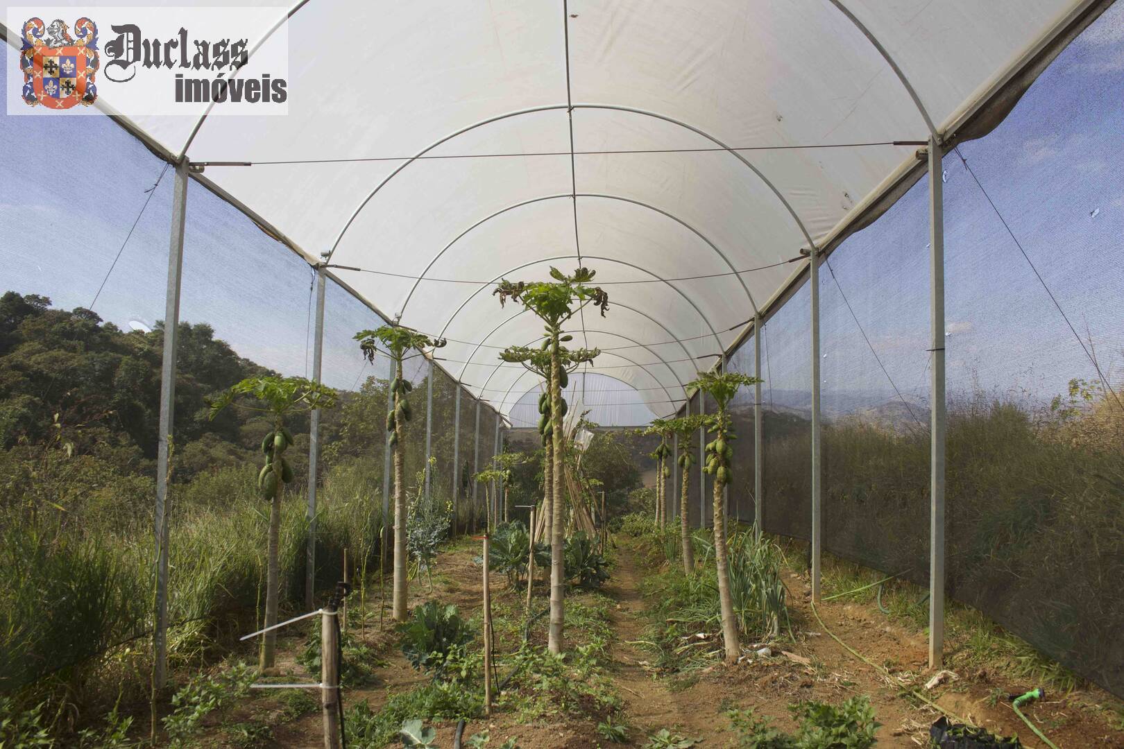Fazenda à venda com 19 quartos, 1859m² - Foto 223