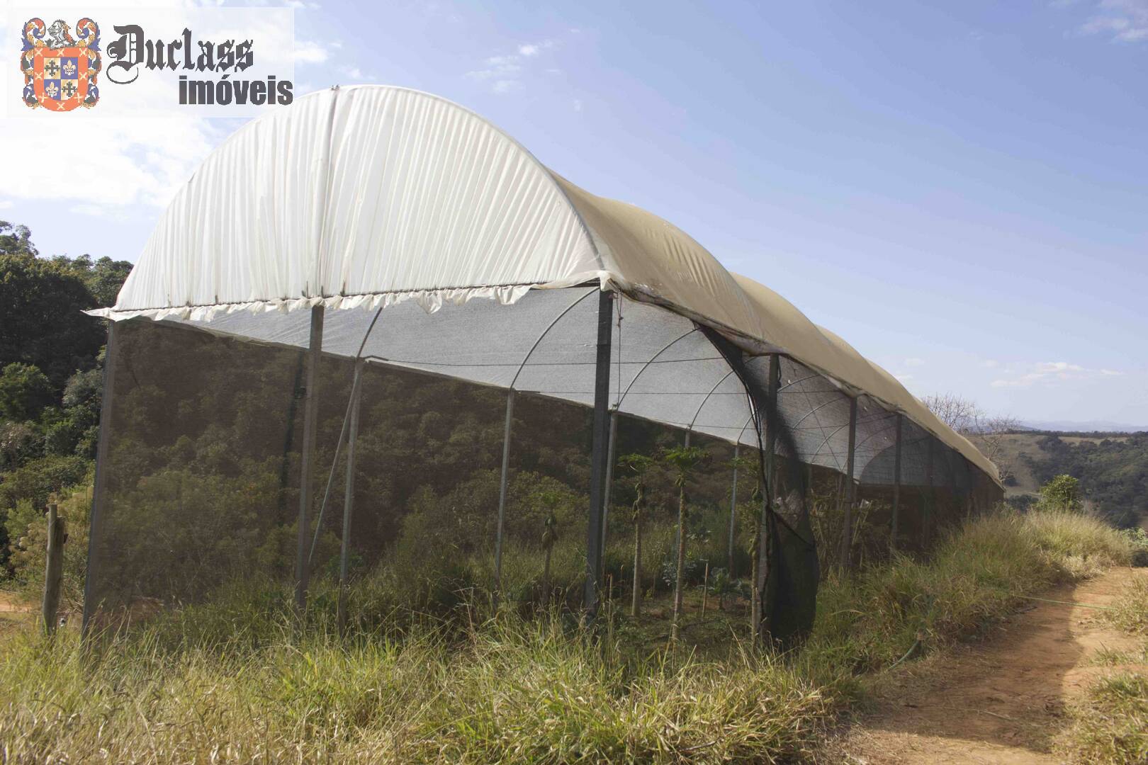 Fazenda à venda com 19 quartos, 1859m² - Foto 224