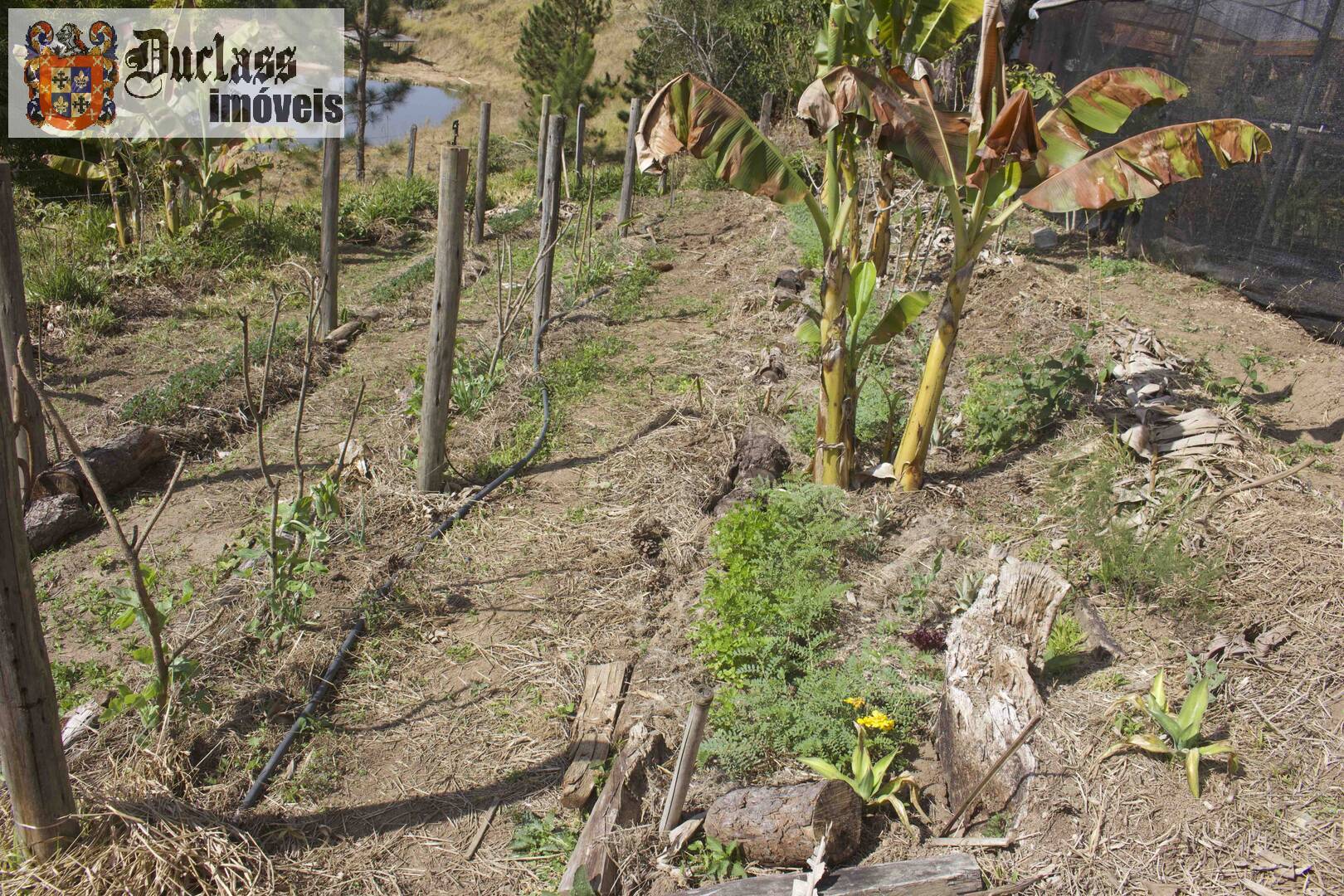 Fazenda à venda com 19 quartos, 1859m² - Foto 227