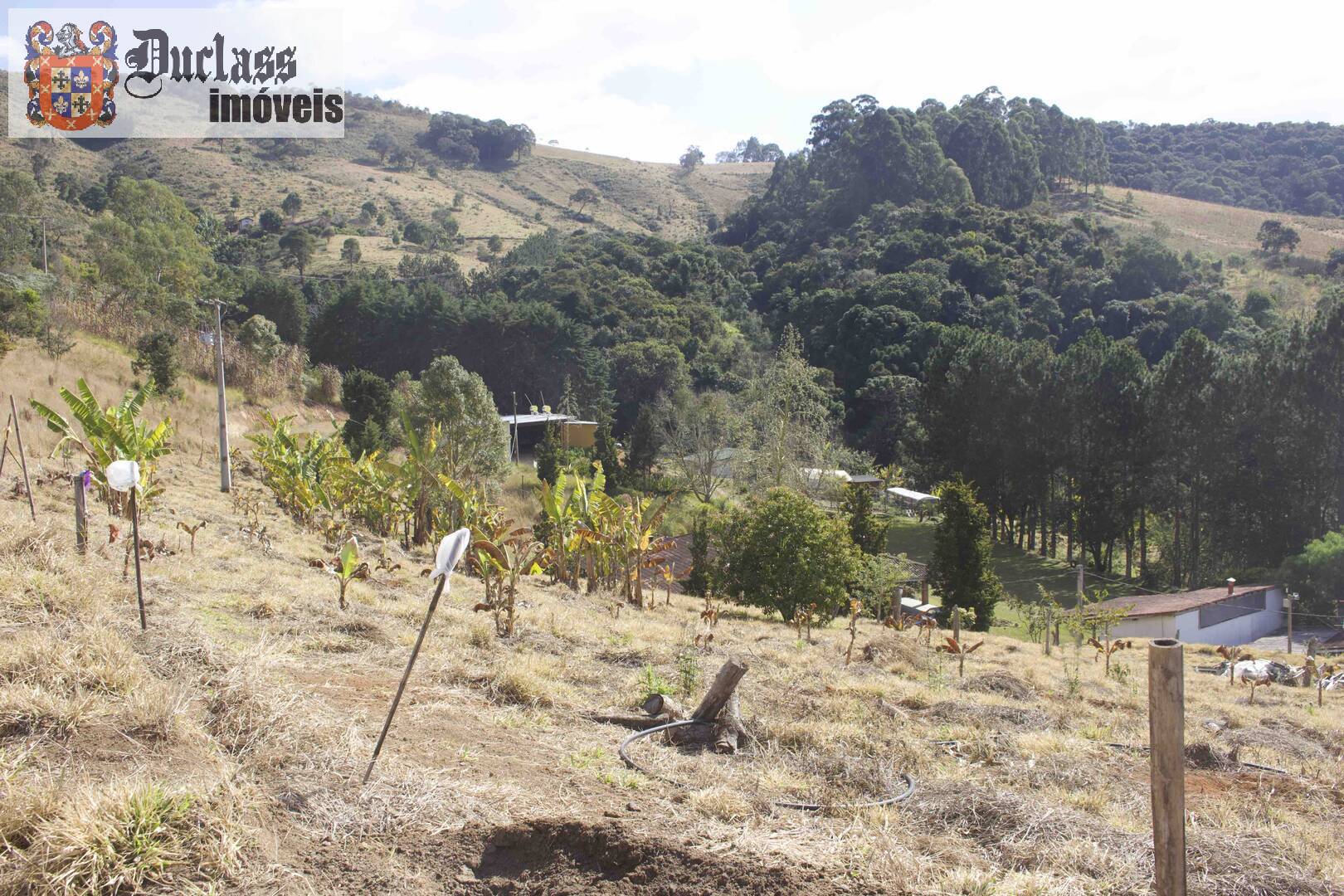 Fazenda à venda com 19 quartos, 1859m² - Foto 228