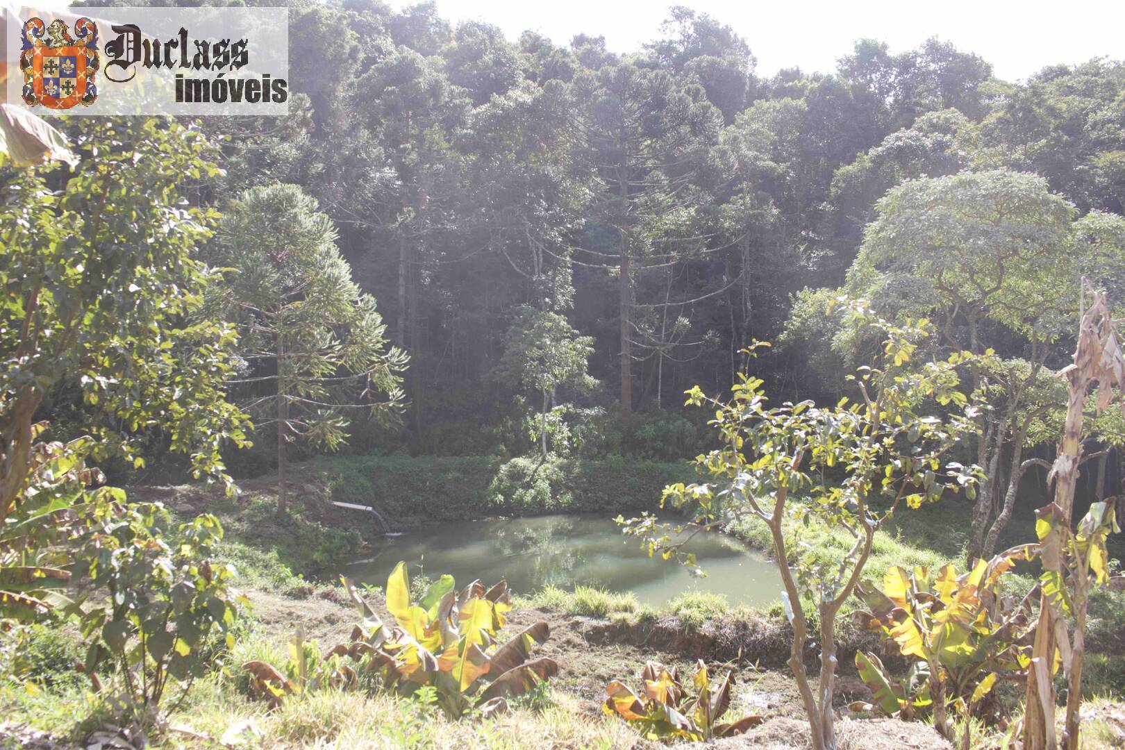 Fazenda à venda com 19 quartos, 1859m² - Foto 229