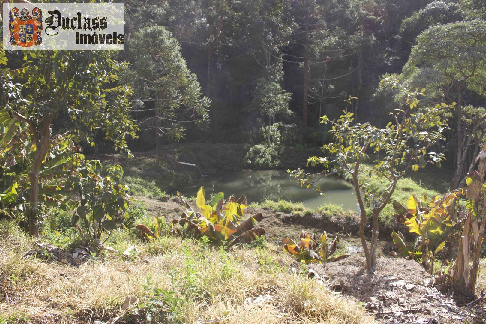 Fazenda à venda com 19 quartos, 1859m² - Foto 230