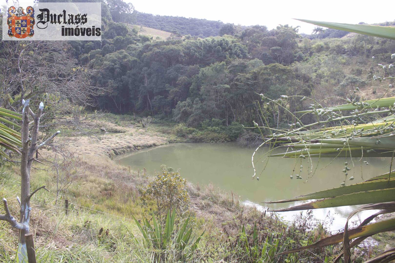 Fazenda à venda com 19 quartos, 1859m² - Foto 231