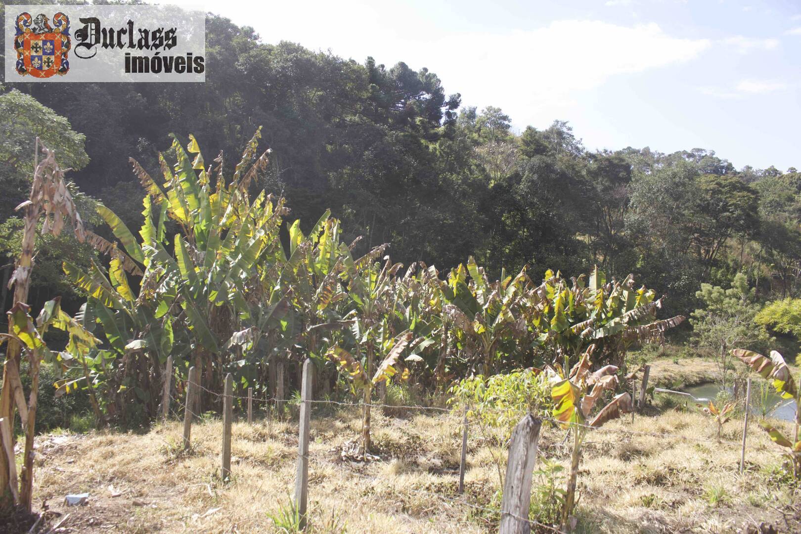 Fazenda à venda com 19 quartos, 1859m² - Foto 234