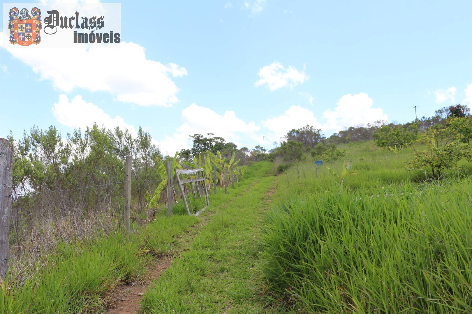 Fazenda à venda com 19 quartos, 1859m² - Foto 238