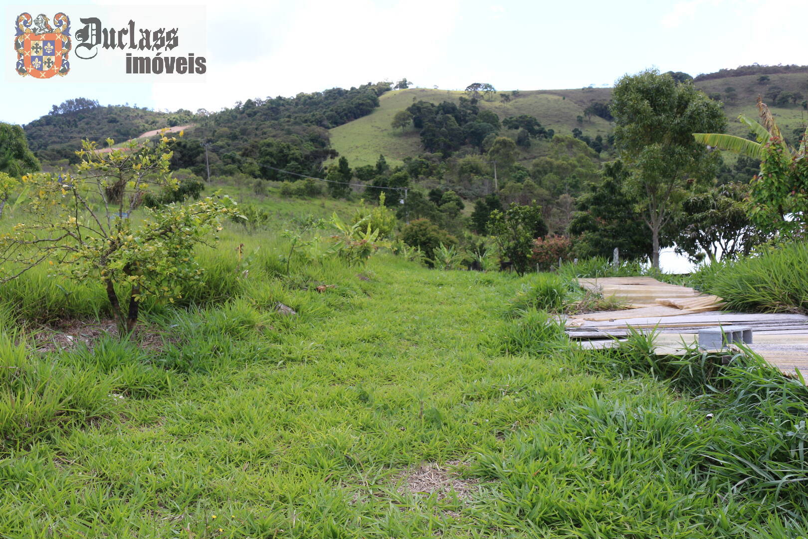 Fazenda à venda com 19 quartos, 1859m² - Foto 239