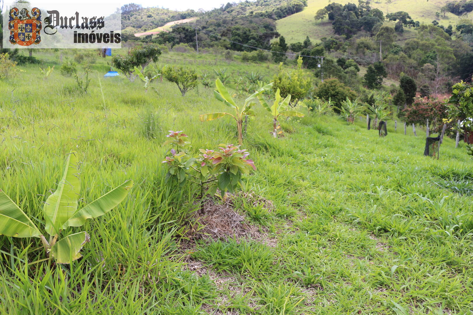 Fazenda à venda com 19 quartos, 1859m² - Foto 240