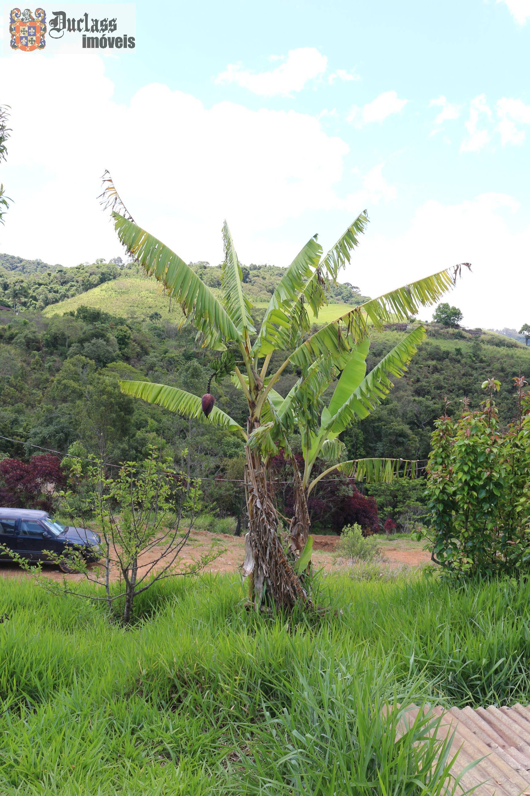 Fazenda à venda com 19 quartos, 1859m² - Foto 242