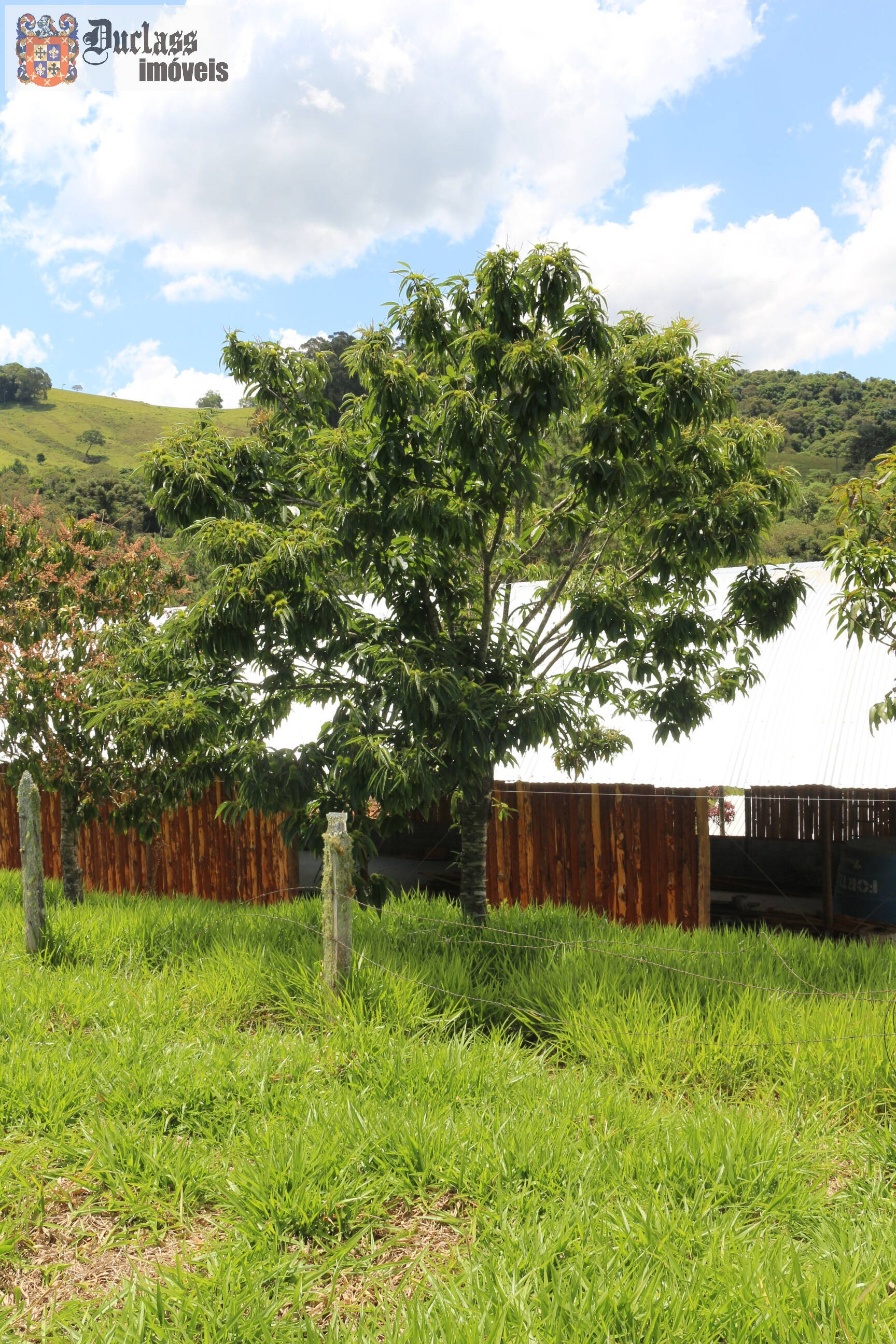 Fazenda à venda com 19 quartos, 1859m² - Foto 243