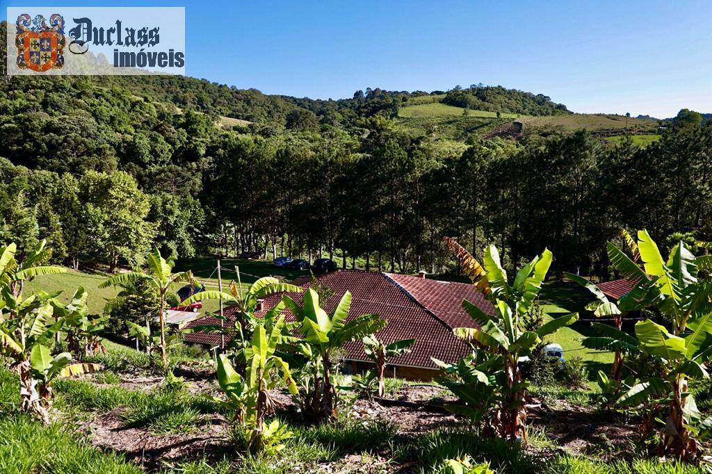 Fazenda à venda com 19 quartos, 1859m² - Foto 245