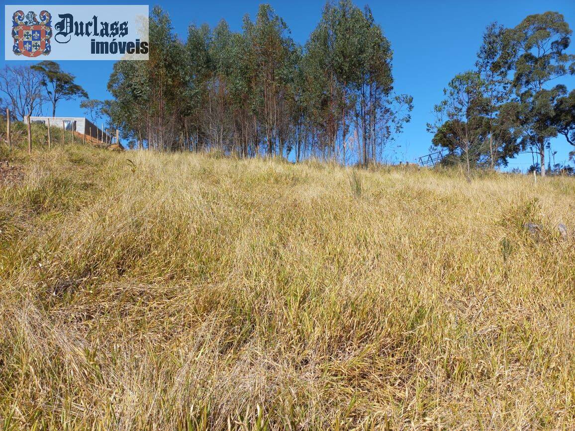 Terreno, 6050 m² - Foto 2