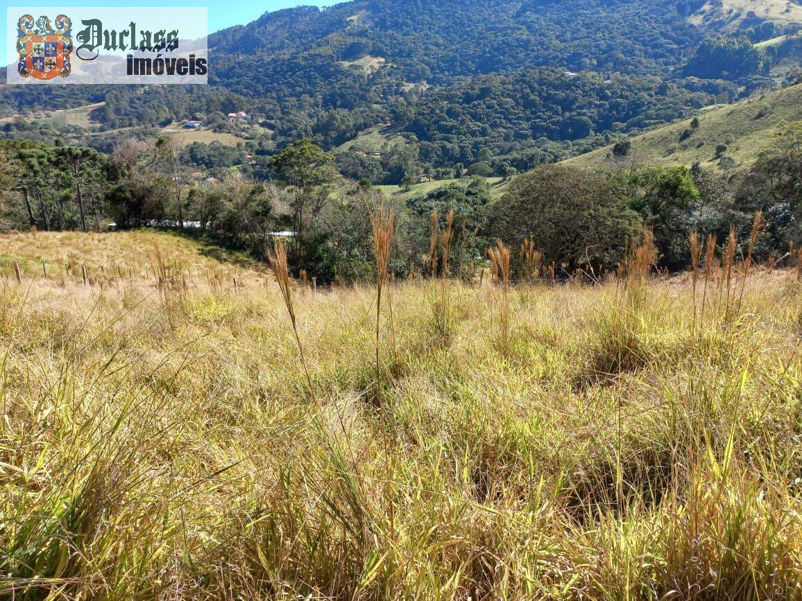 Terreno, 6050 m² - Foto 7