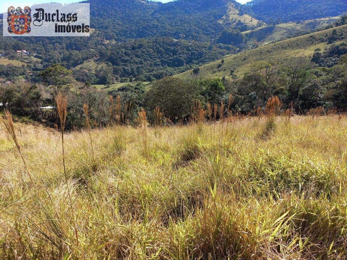 Terreno, 6050 m² - Foto 1