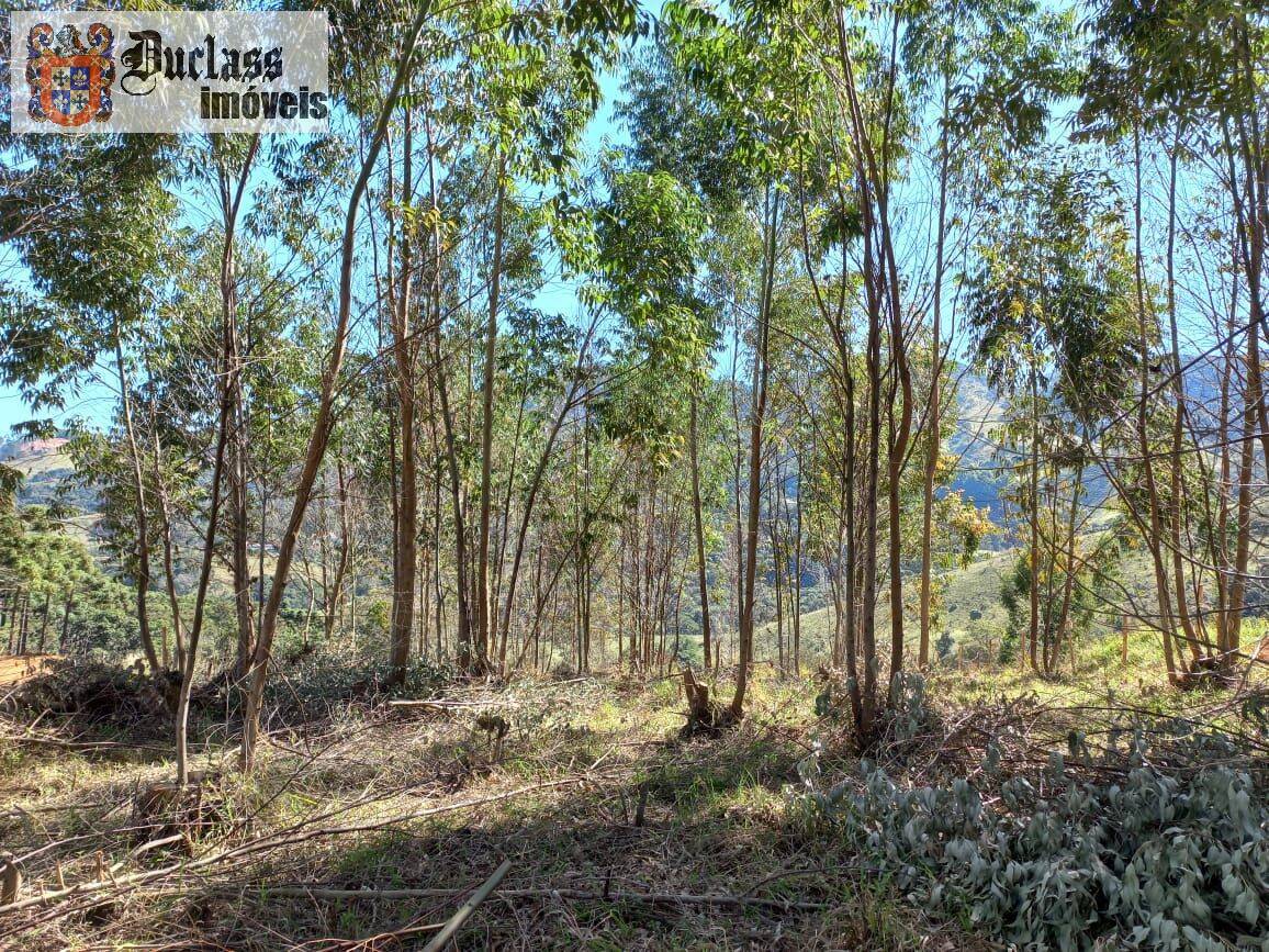 Terreno, 6050 m² - Foto 12