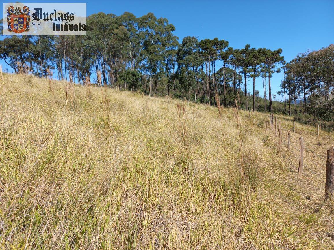 Terreno, 6050 m² - Foto 14