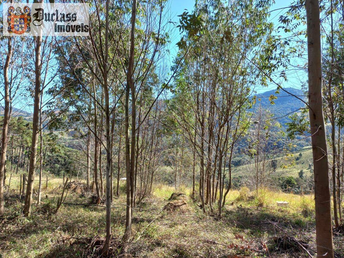 Terreno, 6050 m² - Foto 13