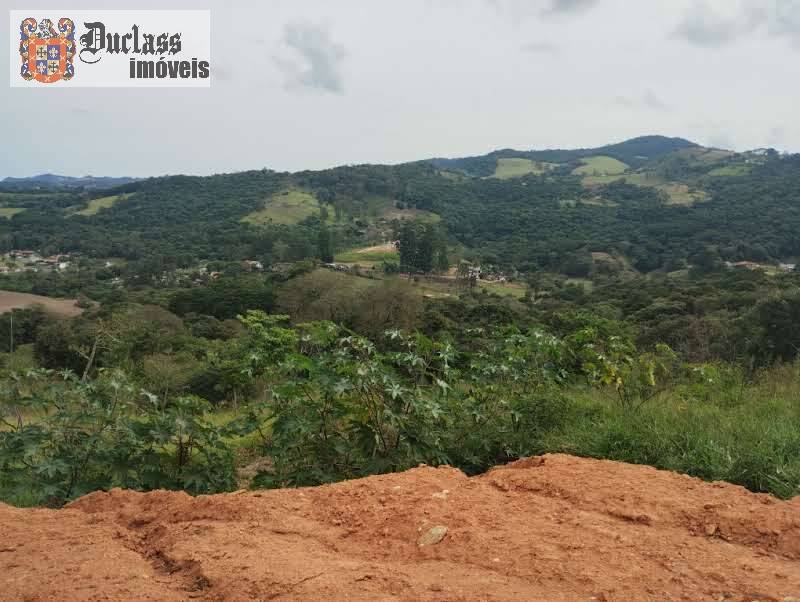 Terreno à venda, 8000m² - Foto 8