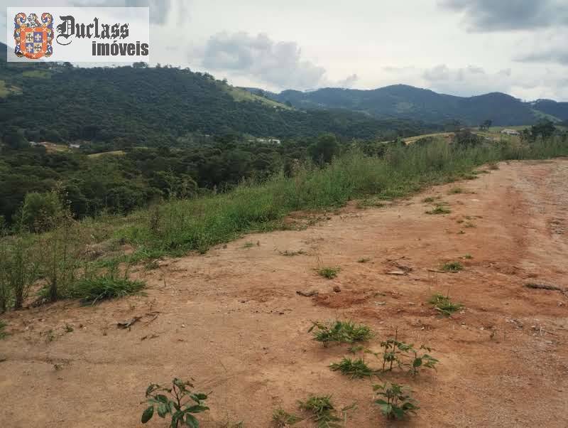 Terreno, 8000 m² - Foto 5