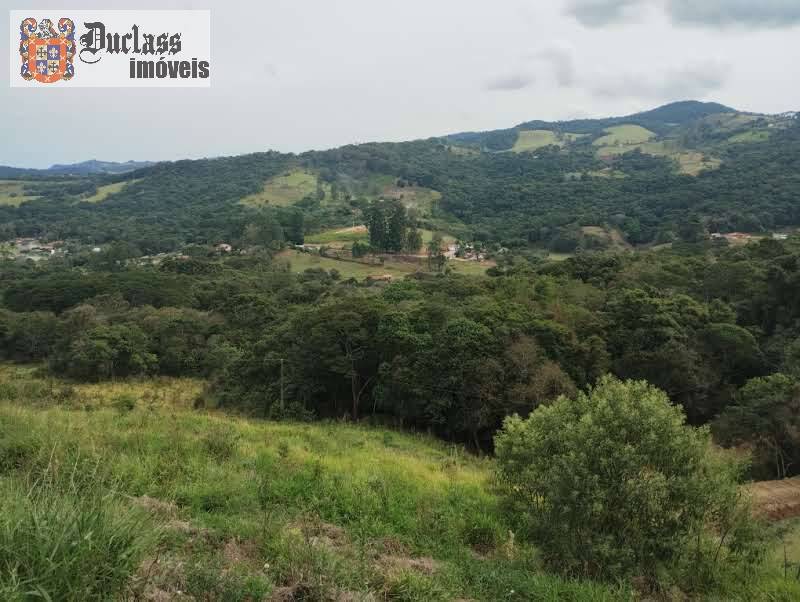 Terreno, 8000 m² - Foto 8