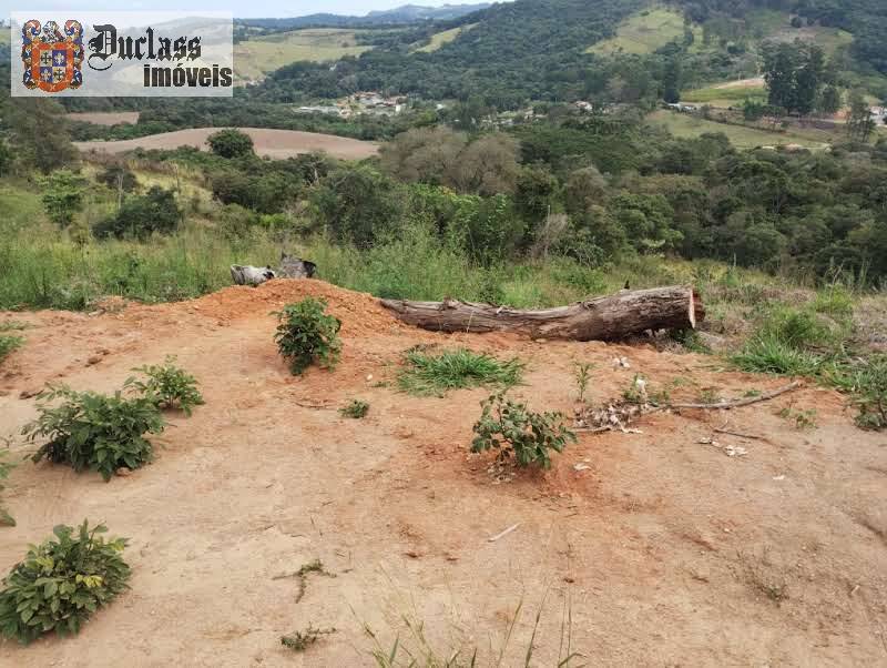 Terreno à venda, 16000m² - Foto 4