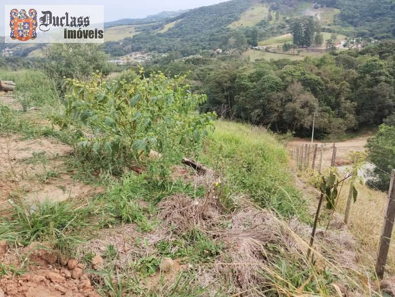 Terreno à venda, 16000m² - Foto 8