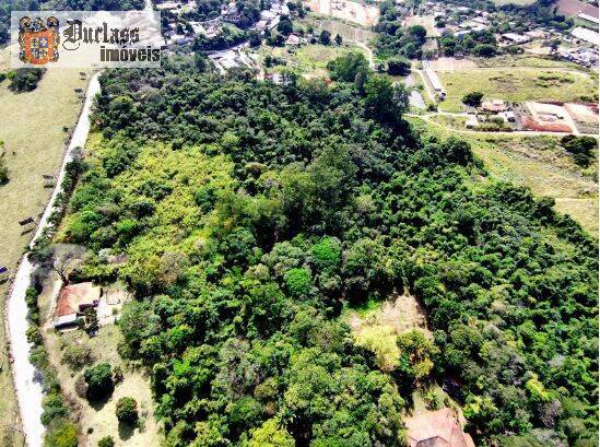 Terreno, 8 hectares - Foto 4