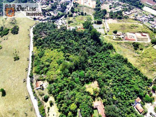 Terreno, 8 hectares - Foto 6