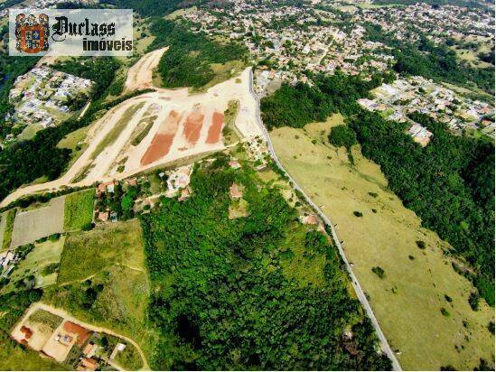 Terreno, 8 hectares - Foto 7