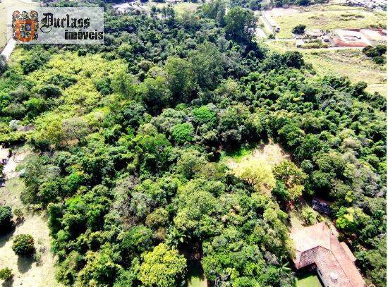 Terreno, 8 hectares - Foto 8