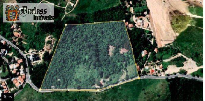 Terreno, 8 hectares - Foto 13