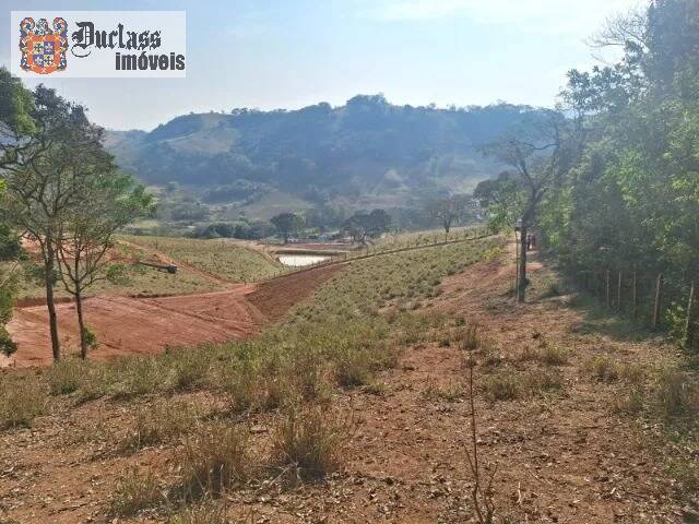 Terreno à venda, 20000m² - Foto 1