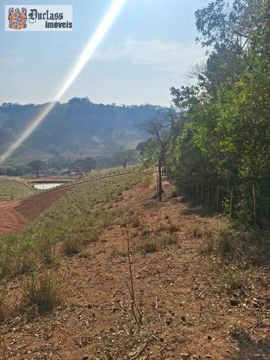 Terreno à venda, 20000m² - Foto 5