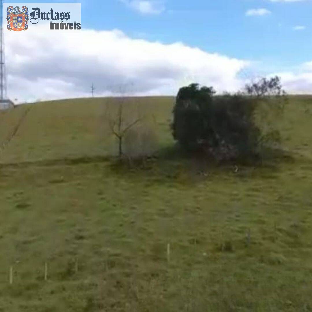 Terreno, 2 hectares - Foto 1